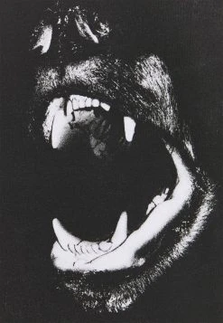 YOURTURN UNISEX - T-shirt Con Stampa - White 7 YOURTURN UNISEX - T-shirt Con Stampa - White -Youturn Abbigliamento Negozio 58bb31f561364d32afd21d152180aa2a